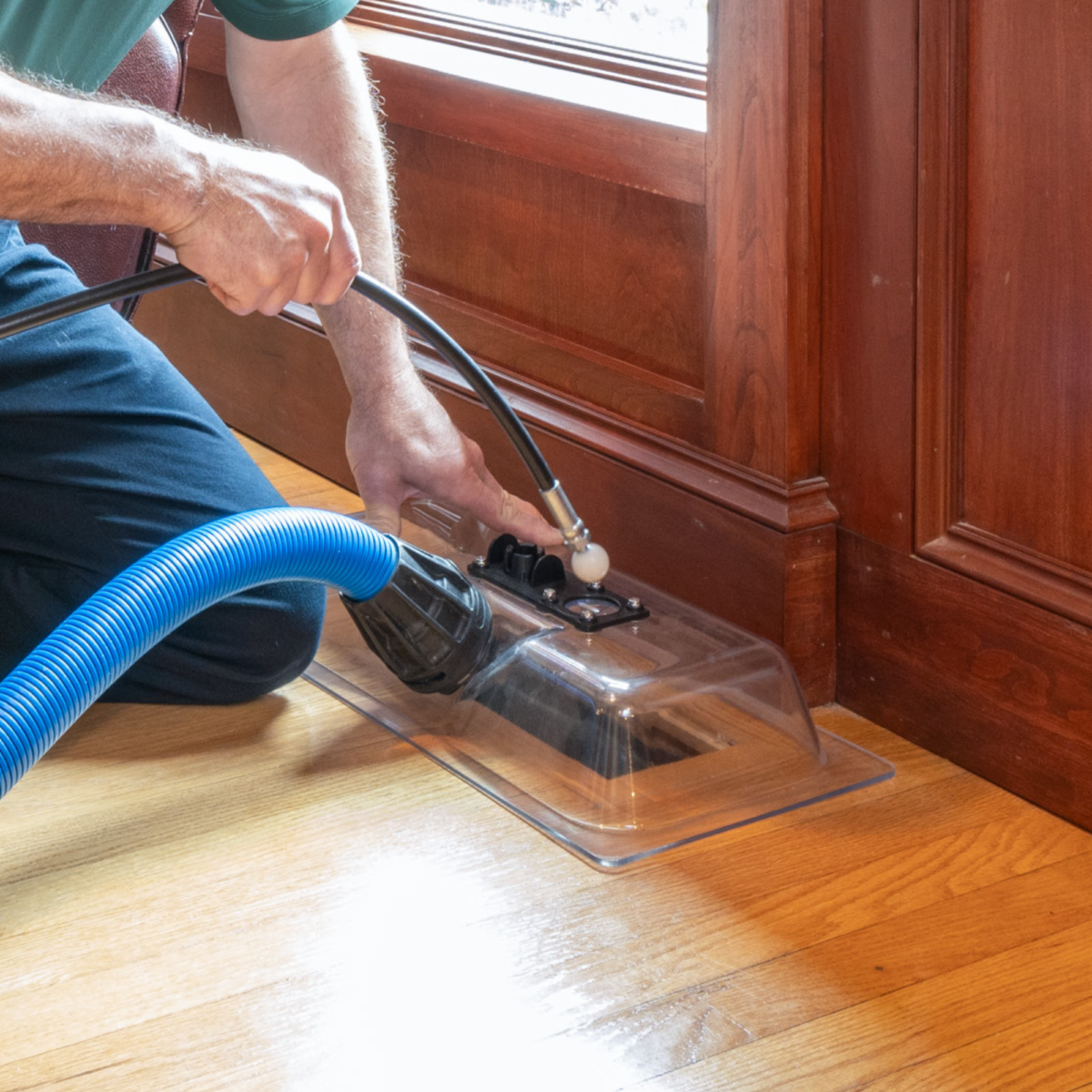 Carpet Cleaning in Beaverton A+ Carpet Cleaning