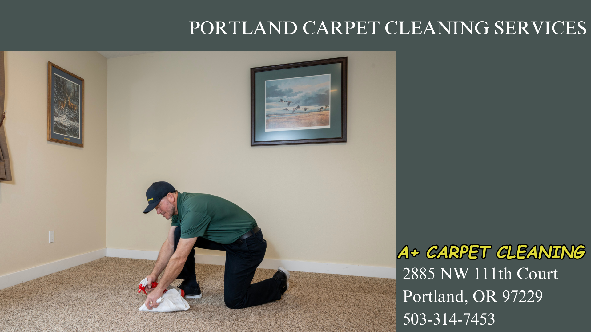 Portland carpet cleaning services near me