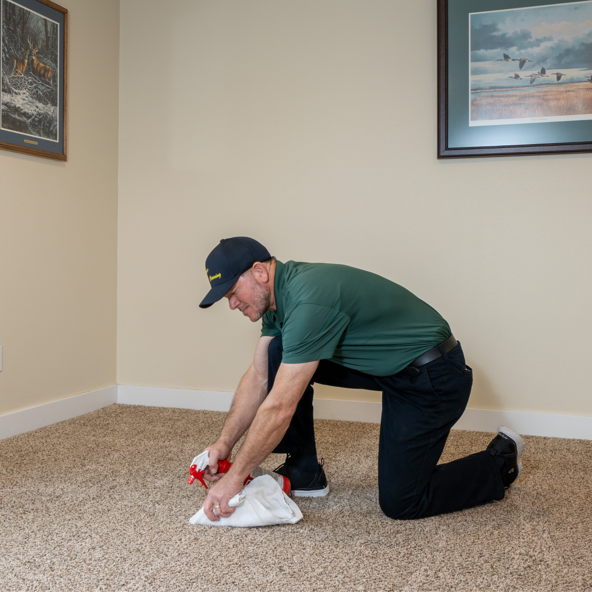Carpet Cleaning for Protectant