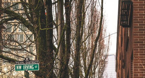 Professional Carpet Cleaning in Portland, Hillsboro, Beaverton, West Linn, Tigard, Lake Oswego, and Tualatin Oregon