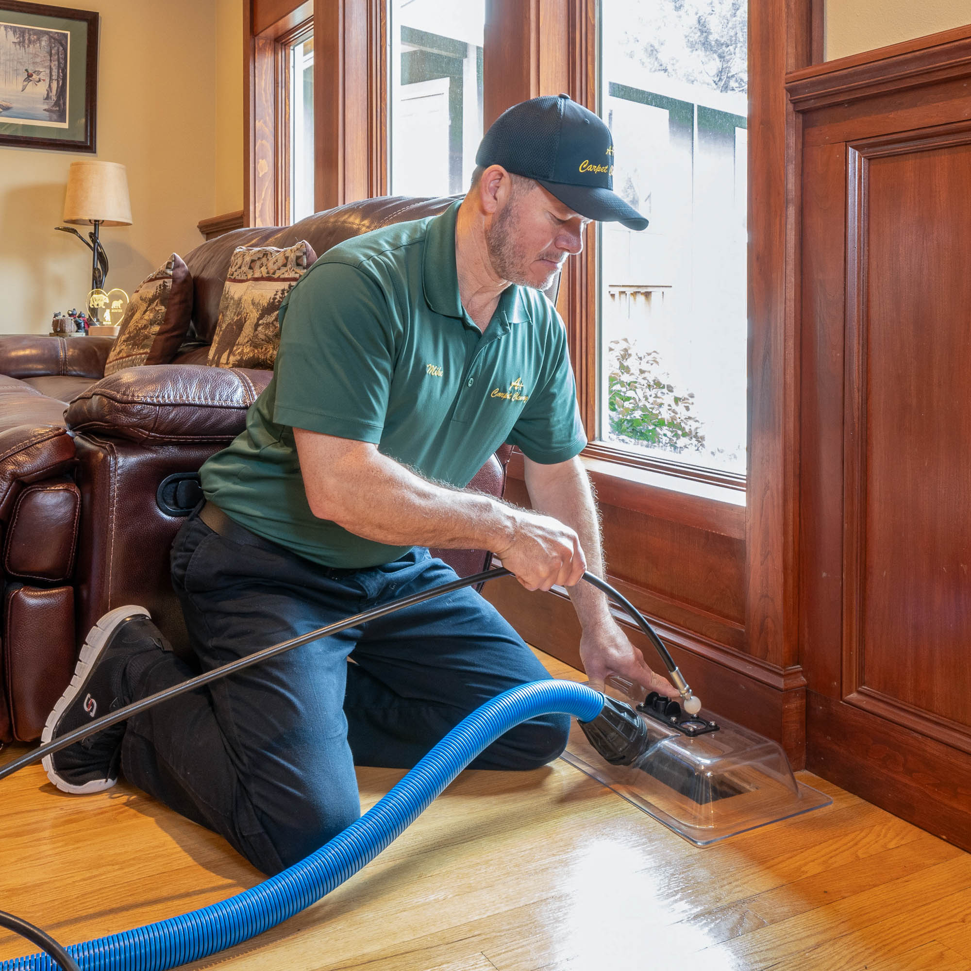 A+ Portland Carpet Cleaning